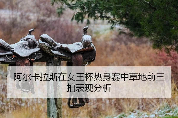 a-er-ka-la-si-zai-nv-wang-bei-re-shen-sai-zhong-cao-di-qian-san-pai-biao-xian-fen-xi-2-595.jpg