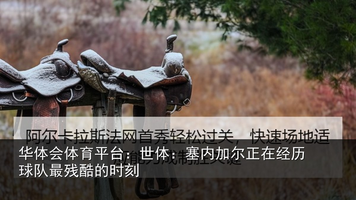 华体会体育平台：世体：塞内相关情况最残酷的时刻