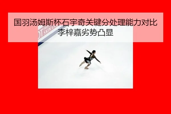 guo-yu-tang-mu-si-bei-shi-yu-qi-guan-jian-fen-chu-li-neng-li-dui-bi-li-zi-jia-lie-shi-tu-xian-2-942.jpg